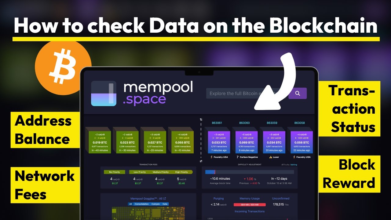 How to explore the Bitcoin Blockchain ✅ Mempool.space Tutorial