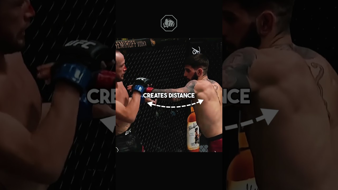 Брутальное комбо Ильи Топурии #mma #ufc #iliatopuria