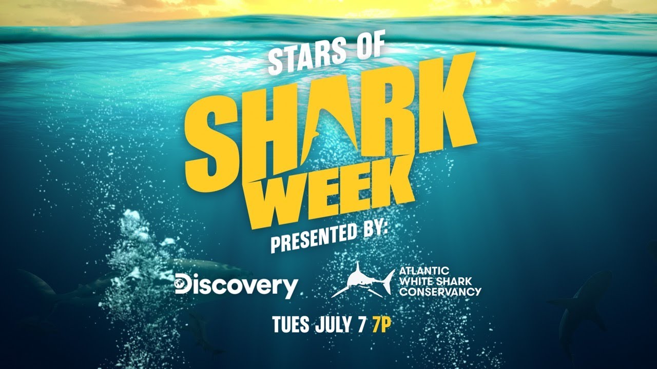Stars of Shark Week | Presented by Discovery Channel & Atlantic White Shark Conservancy