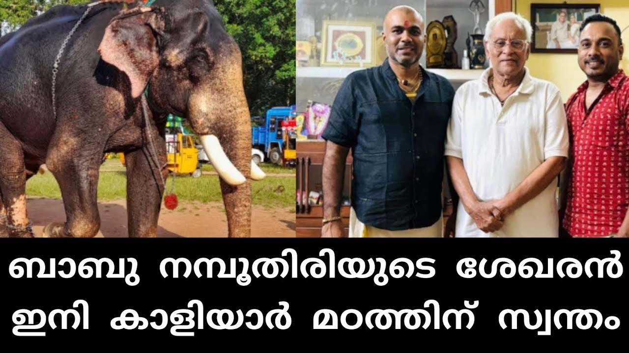 ബാബു നമ്പൂതിരിയുടെ ആന ഇനി കാളിയാർ മഠത്തിന് സ്വന്തം | kanjirakkad Sekharan