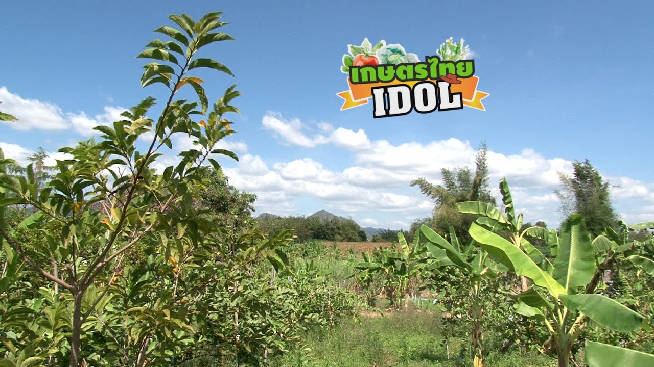 เกษตรไทยไอดอล l EP.90 ตอน ป่าผลไม้ 27 ก.พ. 60