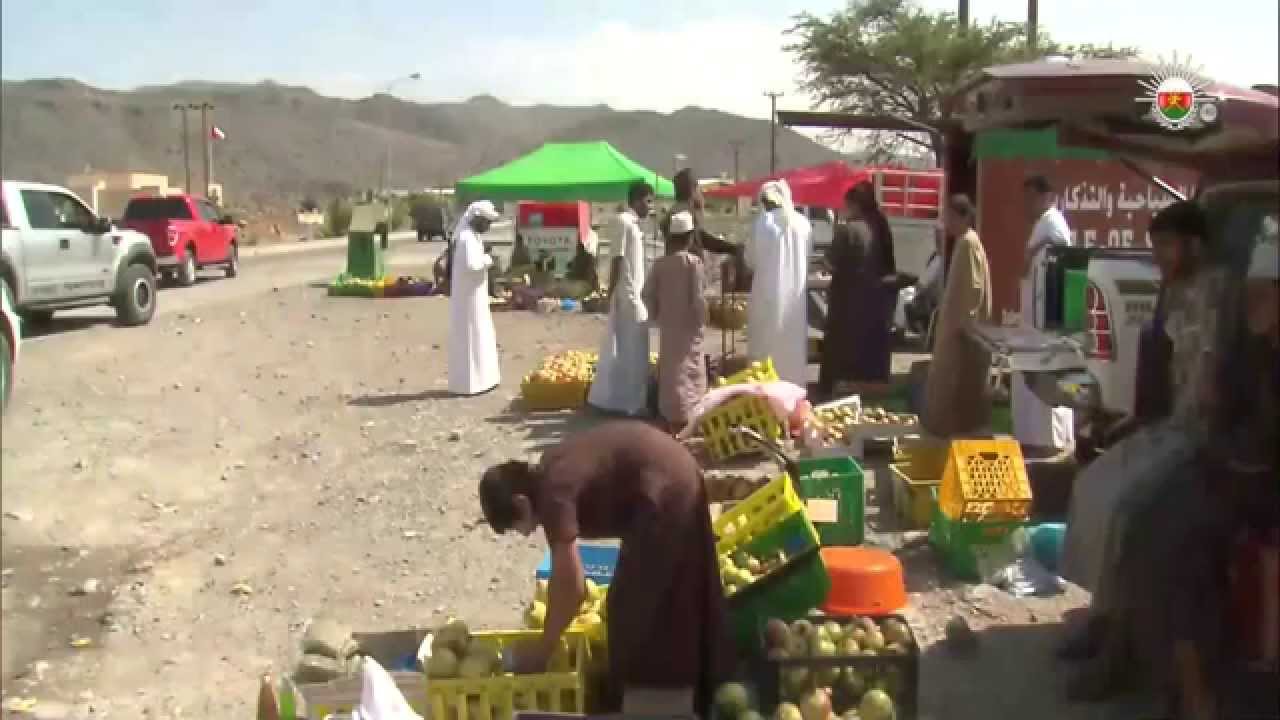 فاكهة الرمان مورد اقتصادي لمزارعي الجبل الأخضر