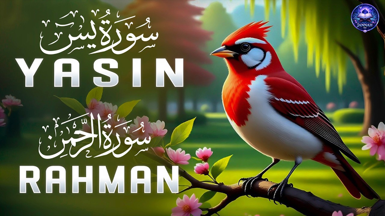 Beautiful Quran Recitation For Relax Your Mind | Surah Yaseen, Surah Rahman | Reciter Alaa Aqel