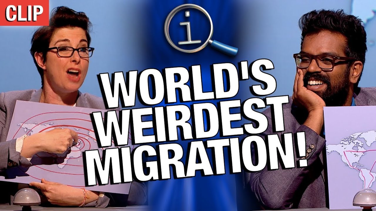 QI | World's Weirdest Migration!
