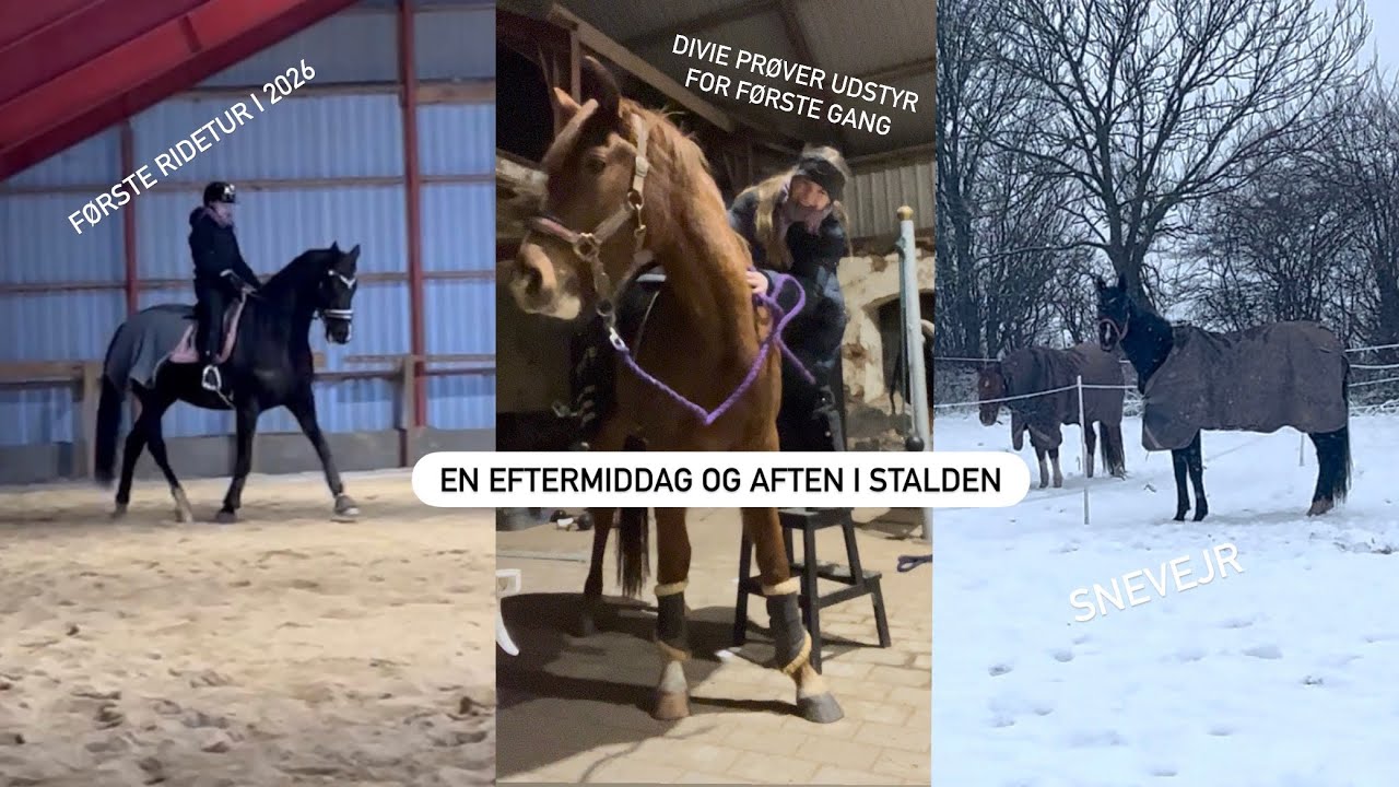 En eftermiddag og aften i stalden - ridning, træning og sne❄️ 