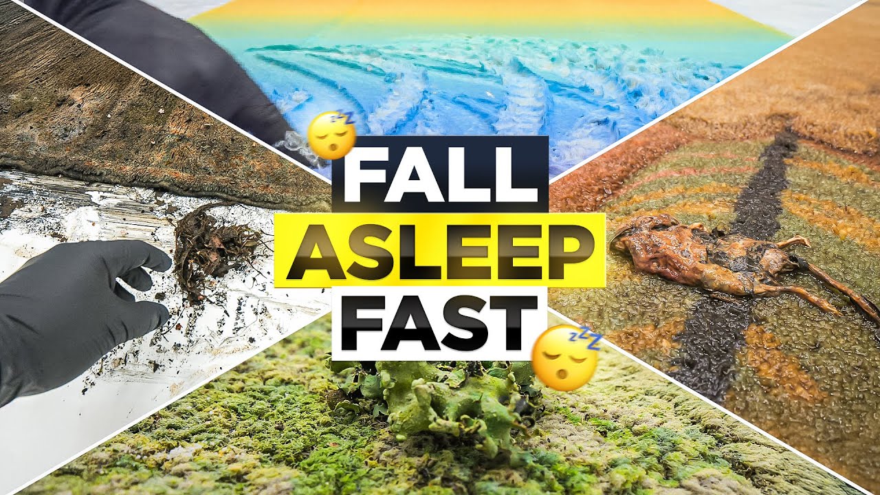 6 Hours of Satisfying Rug Cleaning | Fall Asleep Fast | Gentle ASMR Water Sounds (No Mid Roll Ads)