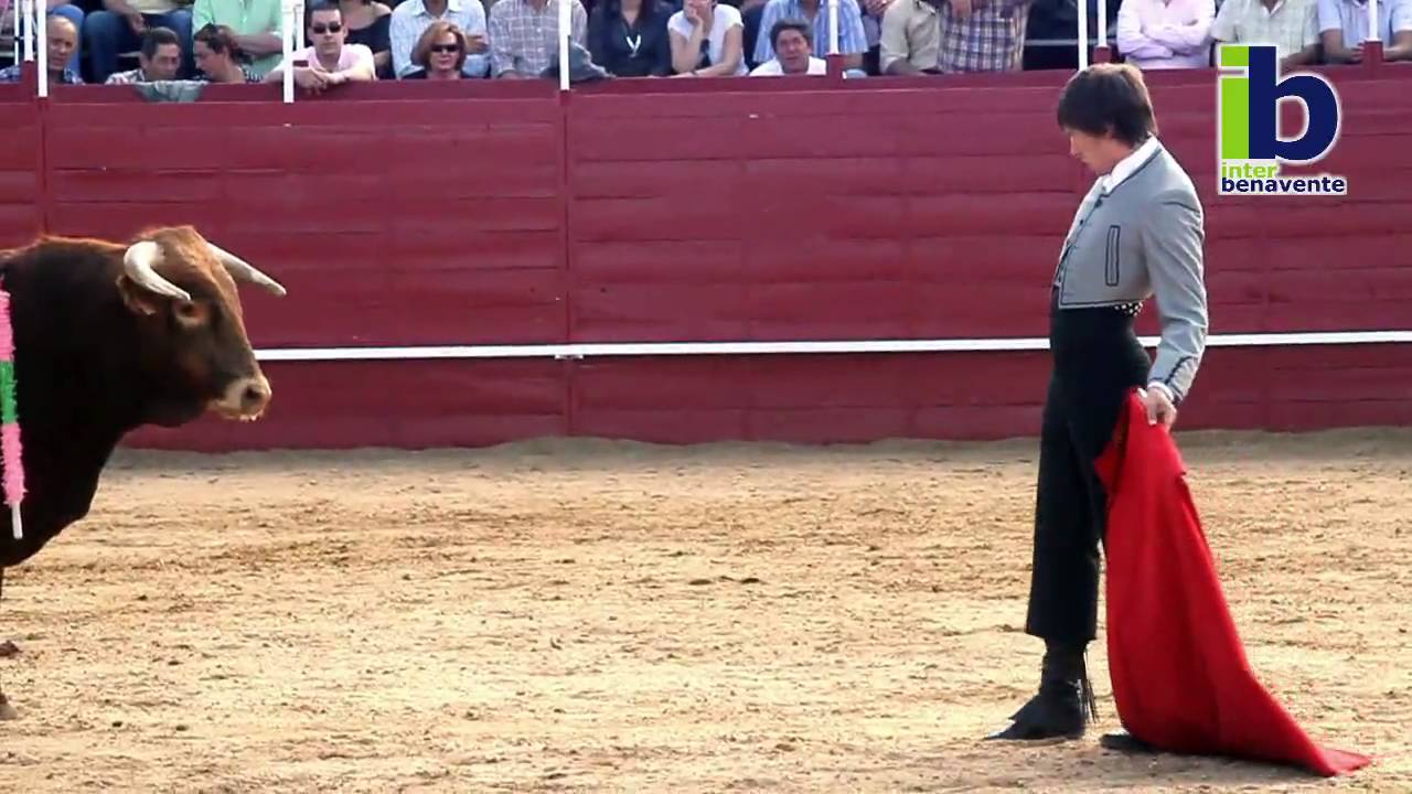 Festival Taurino en Benavente
