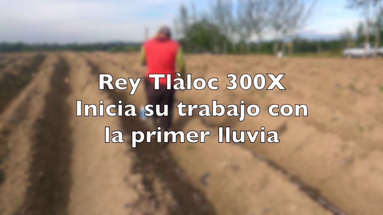 Aplicando polímero 300X en Caña