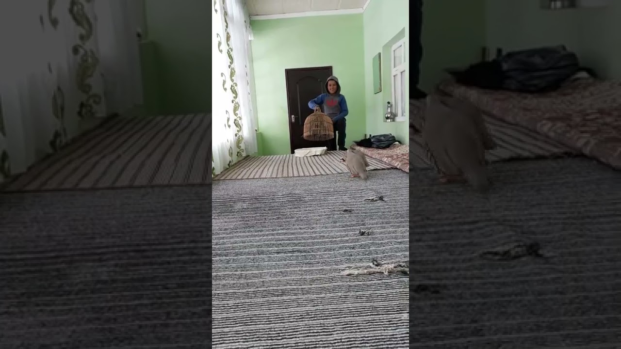 Ҷанг чуҷа бо мастак фурушӣ👍падписатсара фаромуш накнен👇