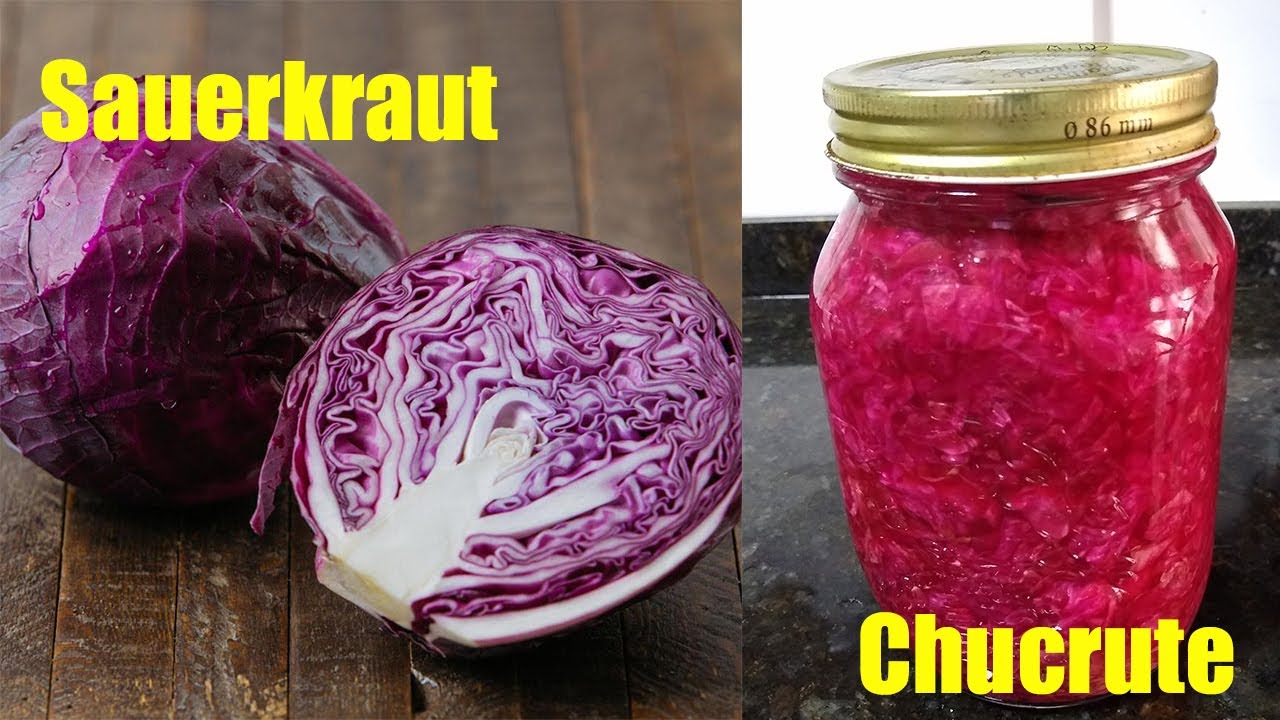 Repolho Fermentado   Chucrute   Sauerkraut