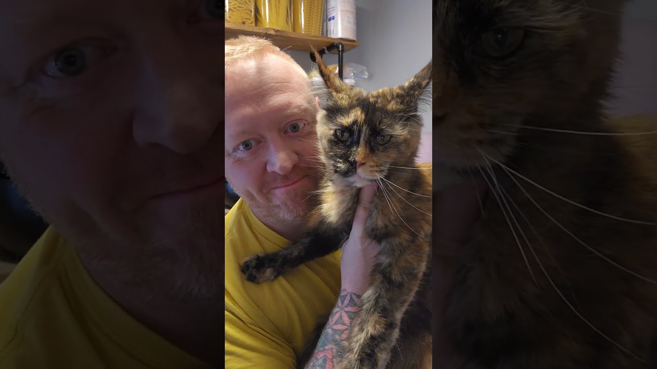 A Man's Best Friend #ahsoka #bestbuds #shorts #catcat
