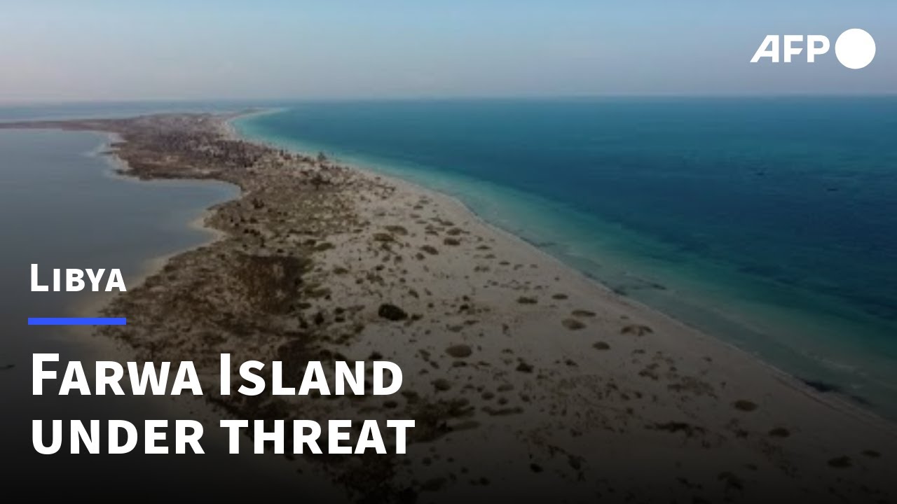 Libya's wildlife treasure island at risk of ruin | AFP