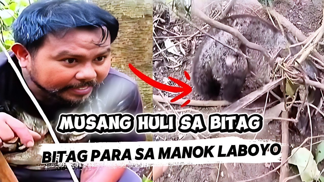 BITAG PARA SA MANOK LABUYO NAKAHULI NG MUSANG