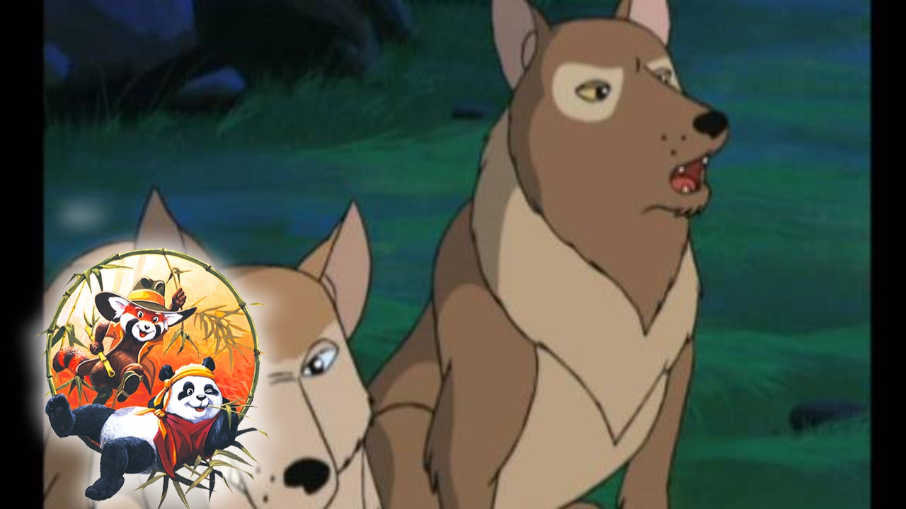 Grey Wolf - The Bamboo Bears