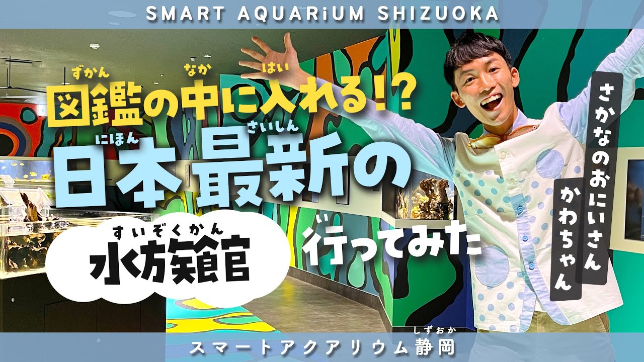 静岡のオススメ水族館！スマートアクアリウム静岡を徹底解説ツアー【aquarium】