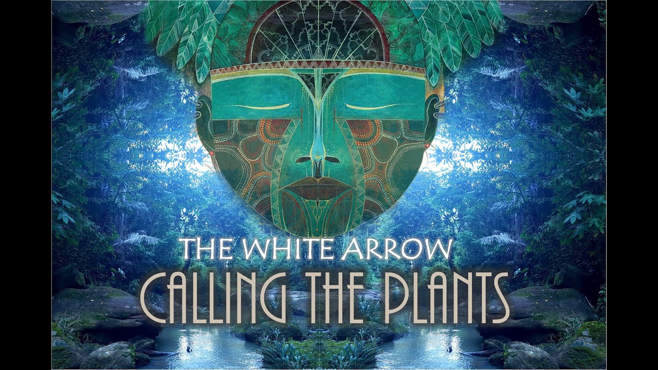 Calling the plants - The White Arrow