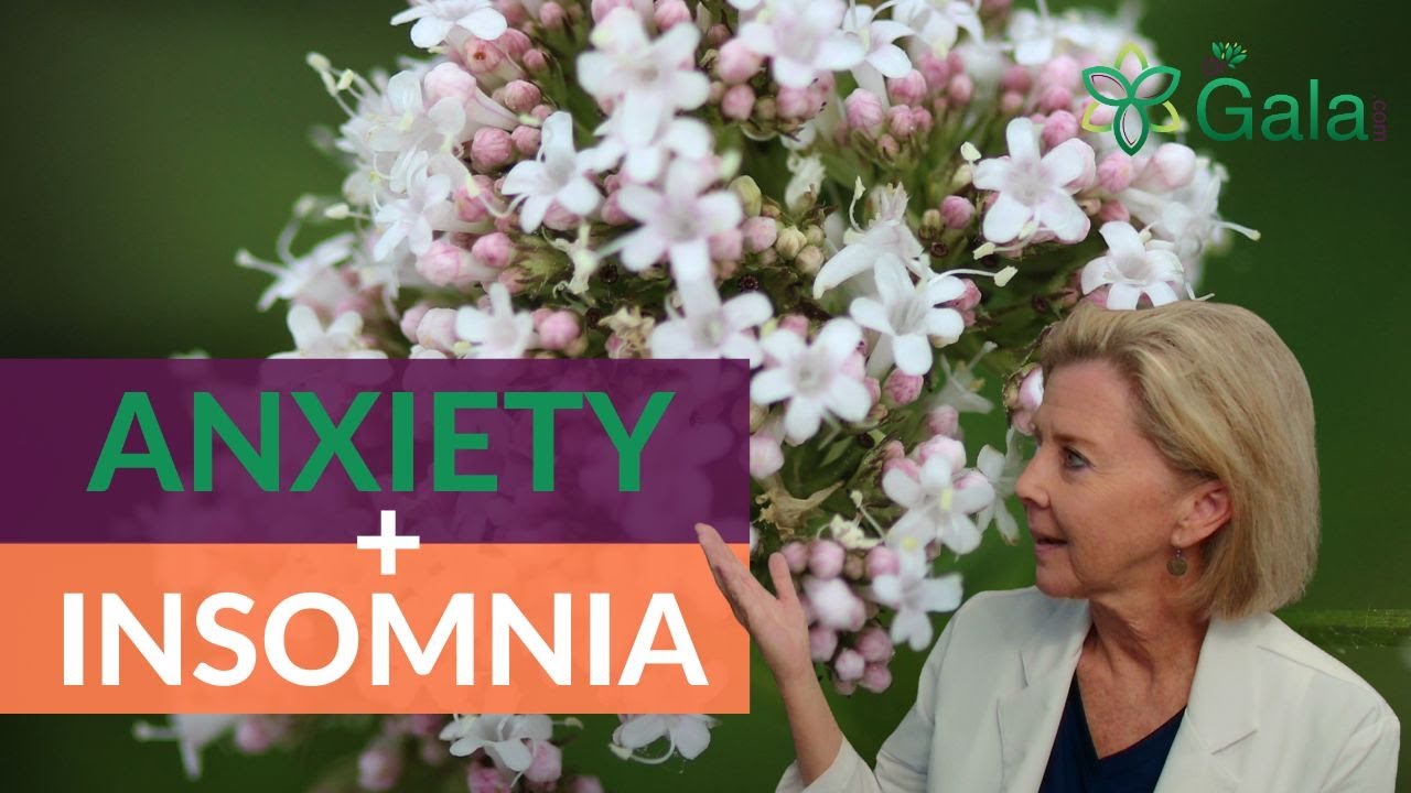 Valerian Root For Sleep (MUST WATCH Before Trying!)