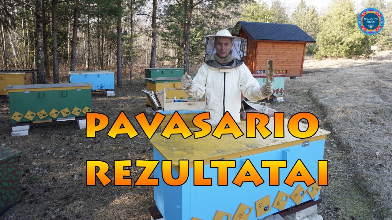 Pavasarinės patikros rezultatai