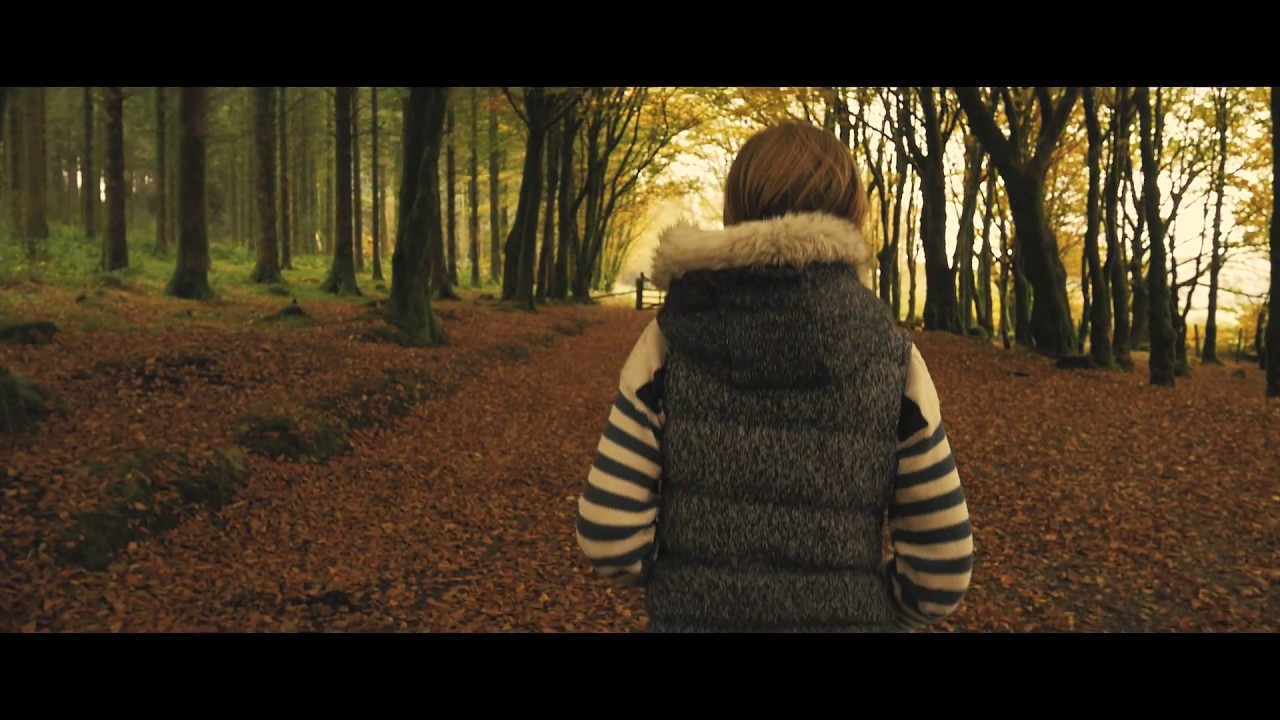 The Call of The Forest