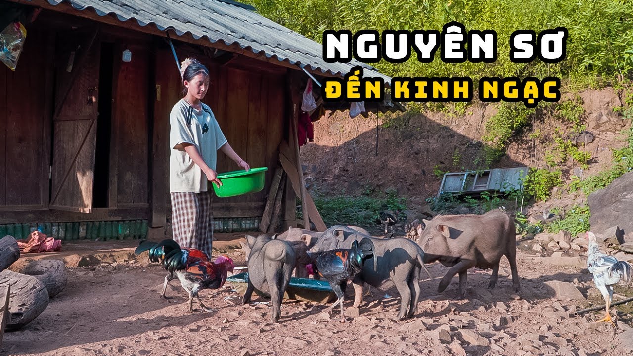 BẤT NGỜ Gặp Bản Làng Nguyên Sơ – Nơi Không Ai Biết Tới Giữa Núi Rừng