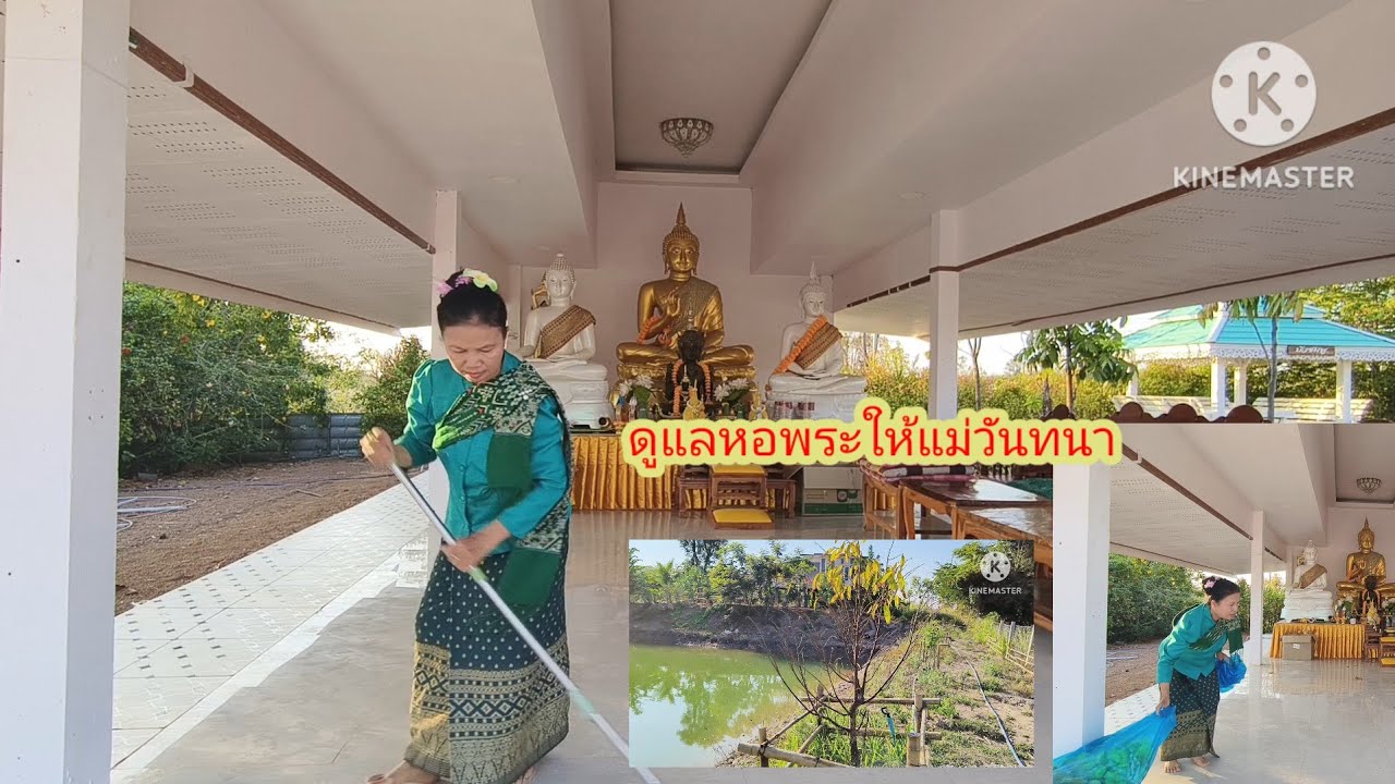 ทำหน้าที่ให้ดีที่สุดที่นา#ป้าแต๋นชาเเนล 