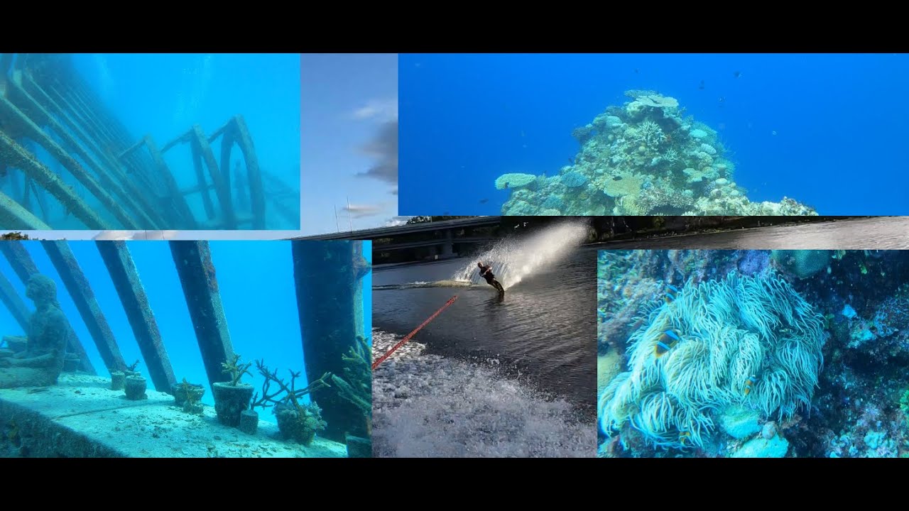 Scuba diving the Great Barrier Reef including MOUA