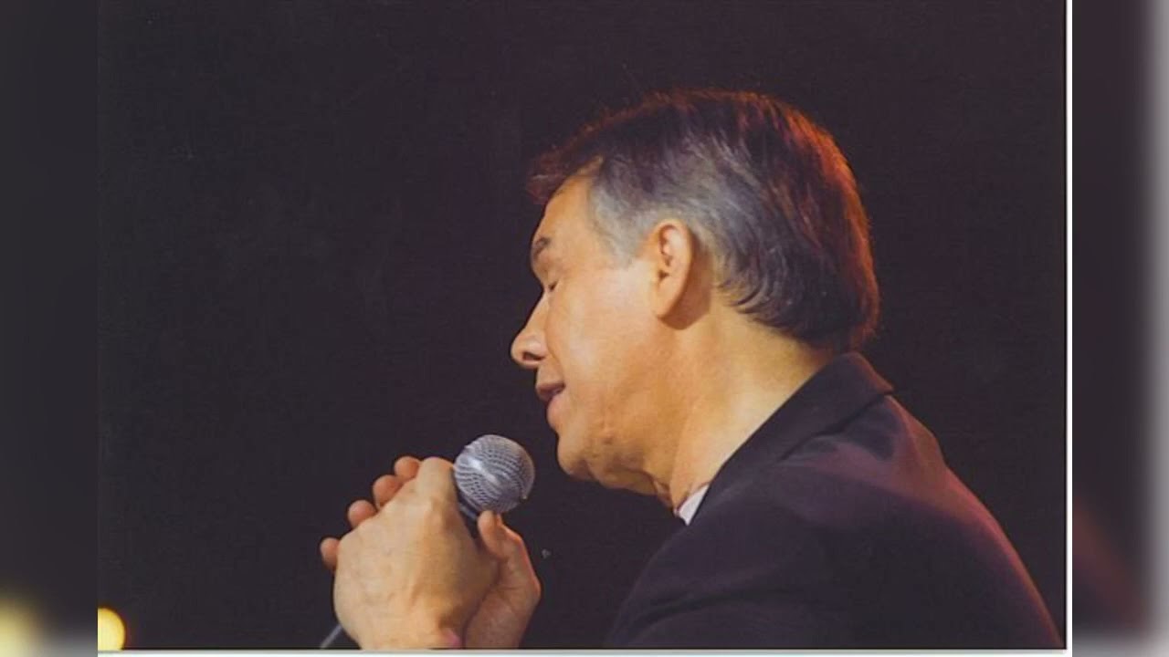 Salvatore Adamo   La Manic