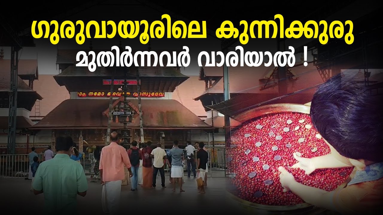 ഗുരുവായൂരിലെ കുന്നിക്കുരു മുതിര്‍ന്നവര്‍ വാരിയാല്‍