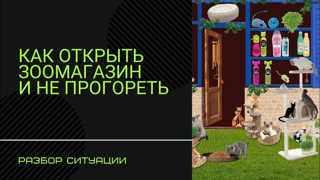 Затраты на открытие зоомагазина