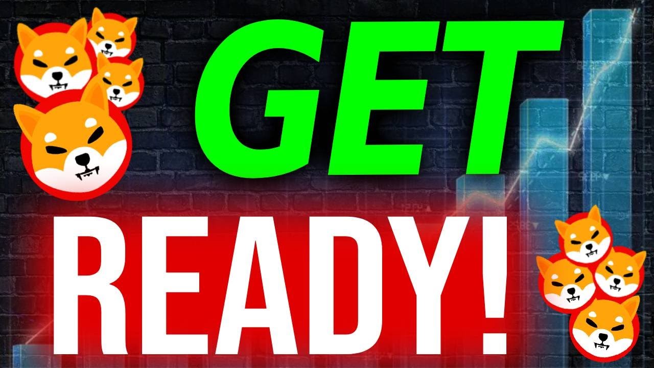 SHIBARMY: THIS IS COMING...
