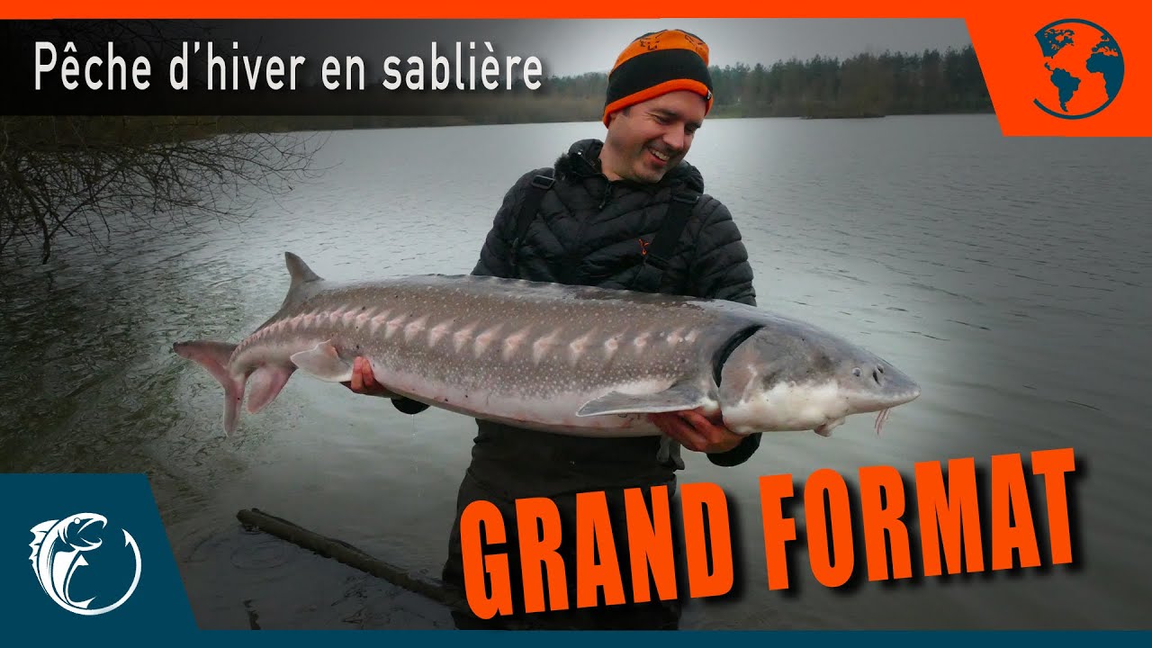 Pêche de la carpe - Carpfishing - GRAND FORMAT - Pêche d'hiver en sablière