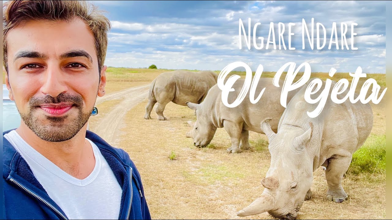 Kenya Travel Vlog - Mount Kenya and Ol Pejeta Conservancy | Nanyuki Wild