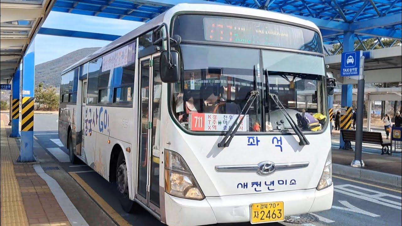 경주 좌석버스 711번 버스 탑승영상