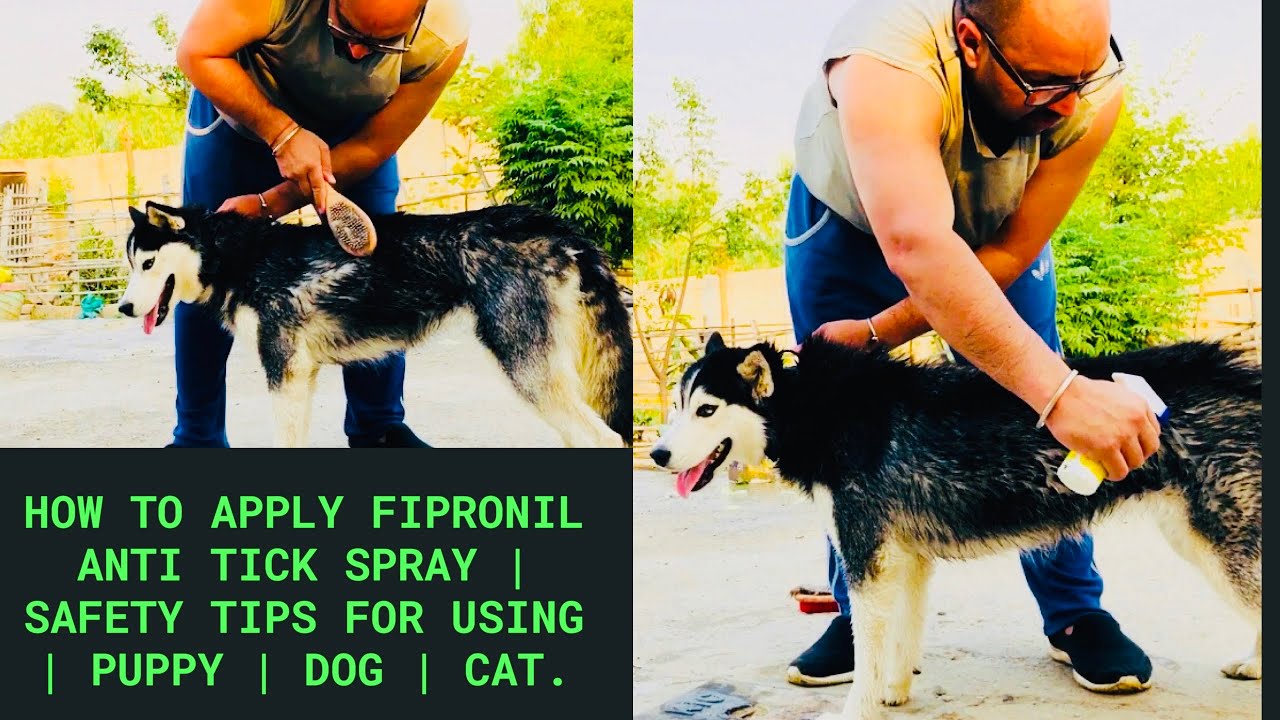 Family Pet-Care | How to apply Fipronil Anti Tick Spray | Safety Tips for Using | Puppy | Dog | Cat.