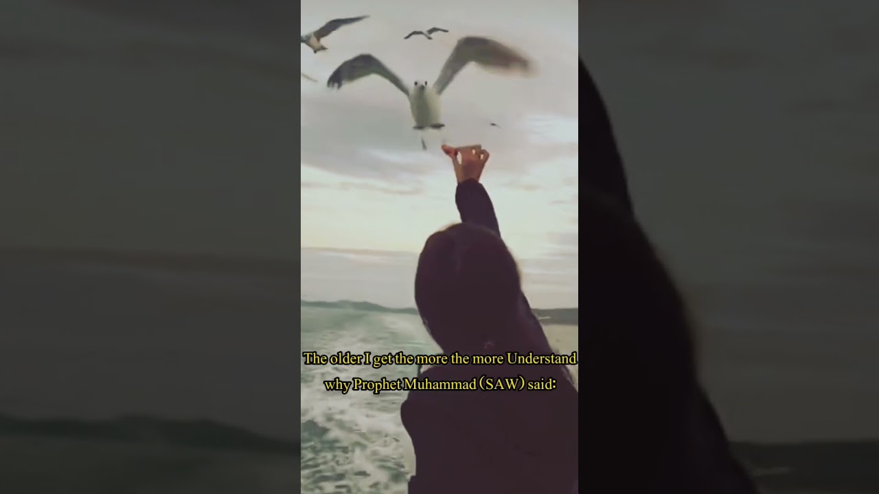 World is paradise for disbeliever#shorts #quotes