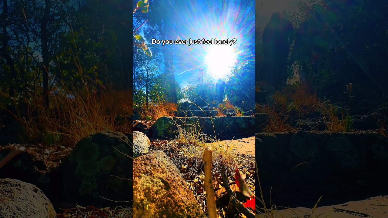 Lavishly poor van life