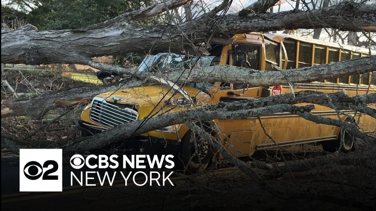 Tree falls onto school bus carrying New Jersey students