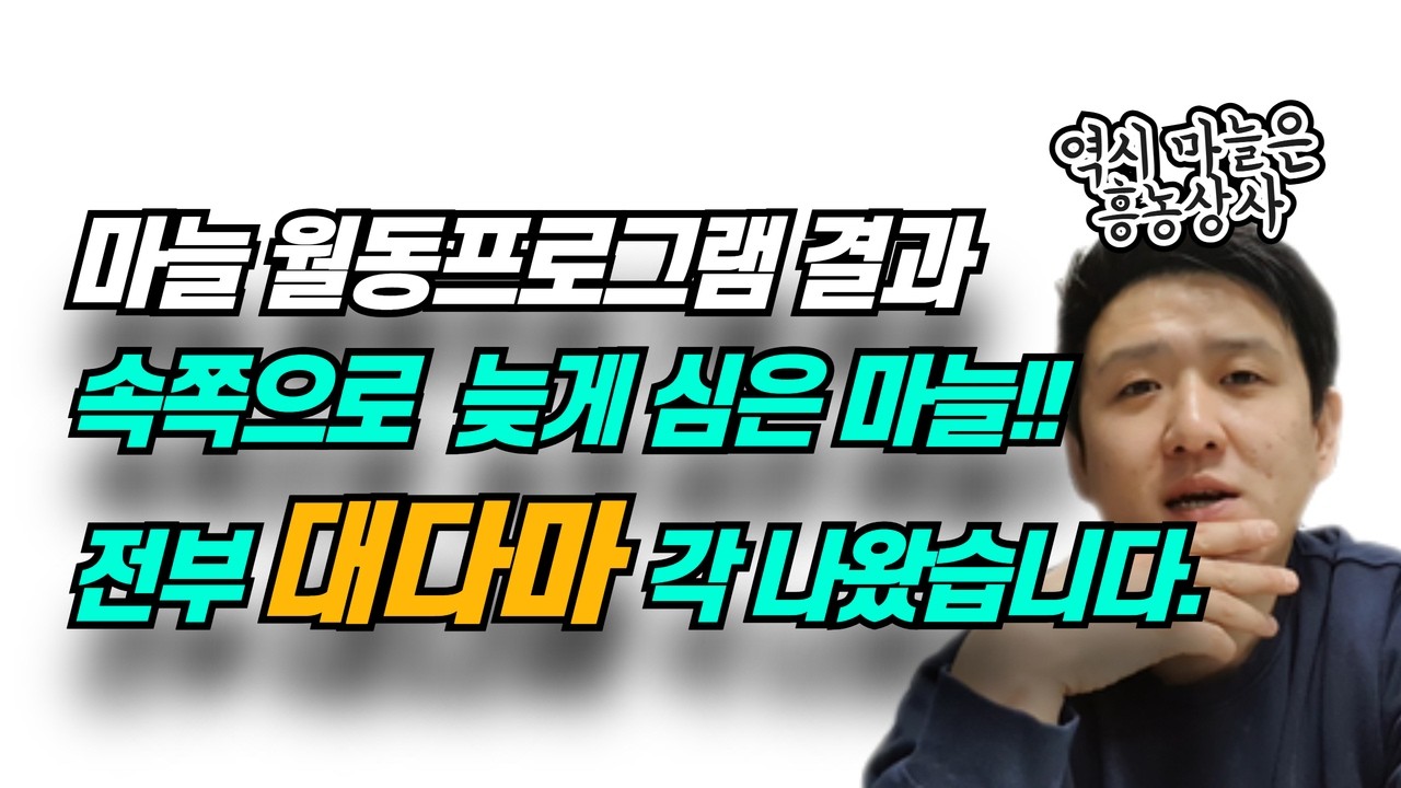 속쪽으로 심은 대박조짐 서산마늘 feat  흥농상사 재배프로그램