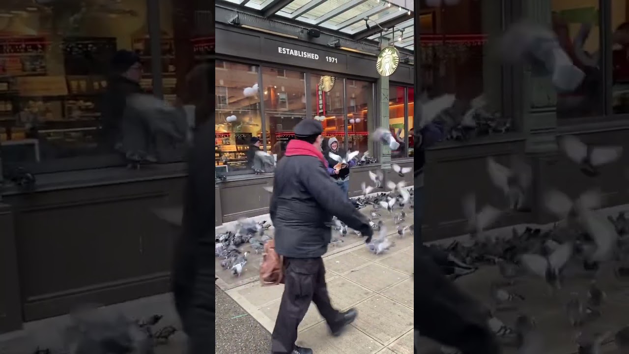 The Birman was in downtown Seattle.