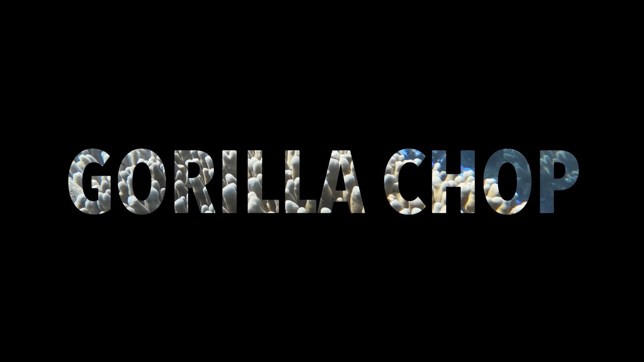Gorilla Chop Okinawa October 2025