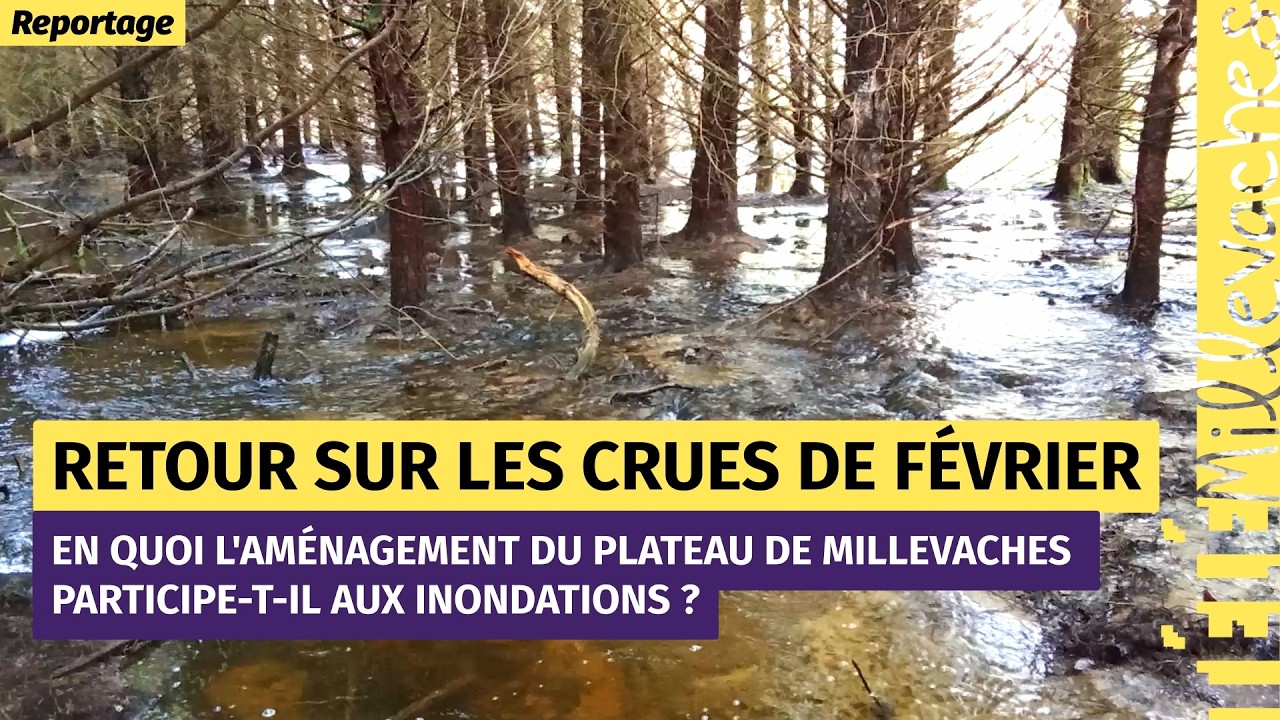 Retour sur les crues de février