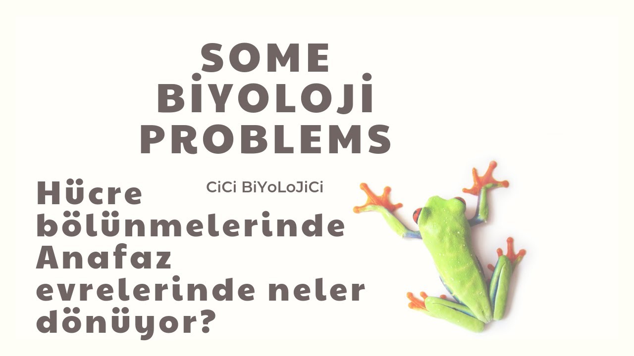Hücre Bölünmelerinde Anafaz evrelerinde neler dönüyor?