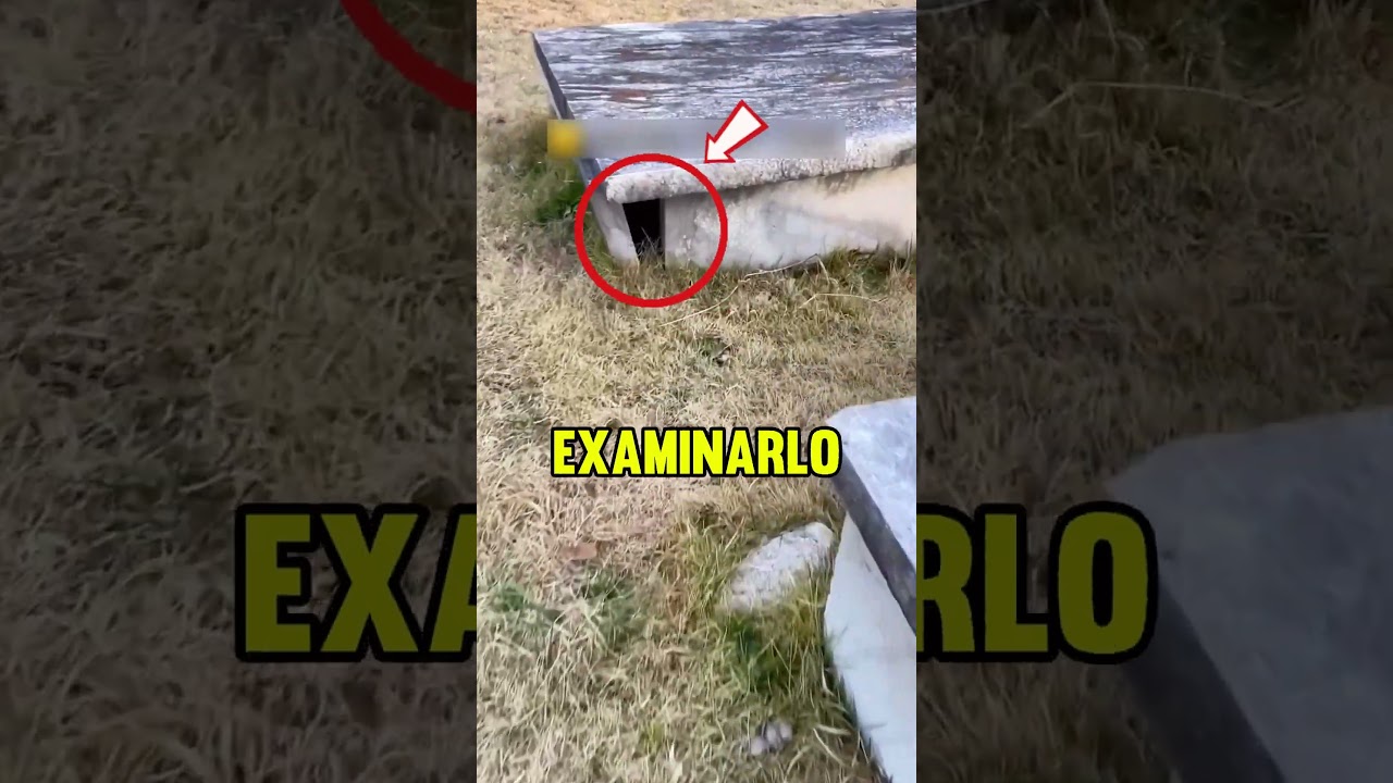 &iexcl;Hay un agujero en la esquina del cementerio! ⚰️👀