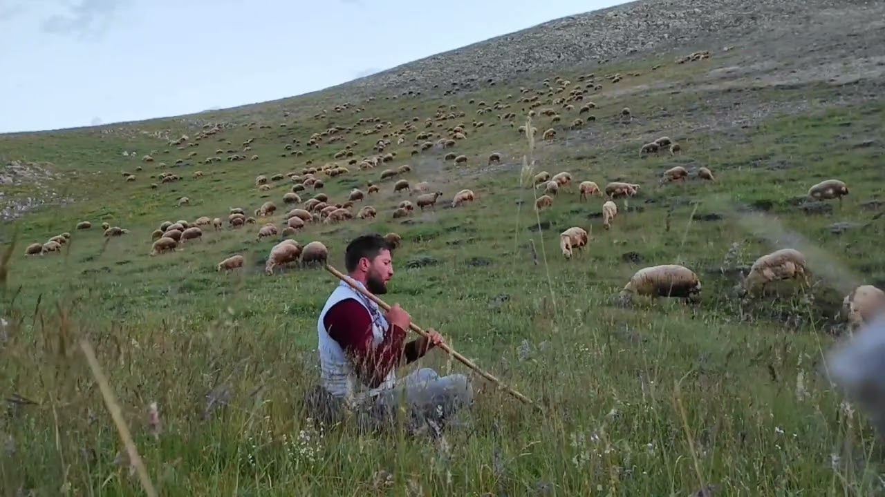 AK GÖĞSÜNDE NOKTA BEN OLAM ___ TARIK KARA ( türkülerin çobanı )