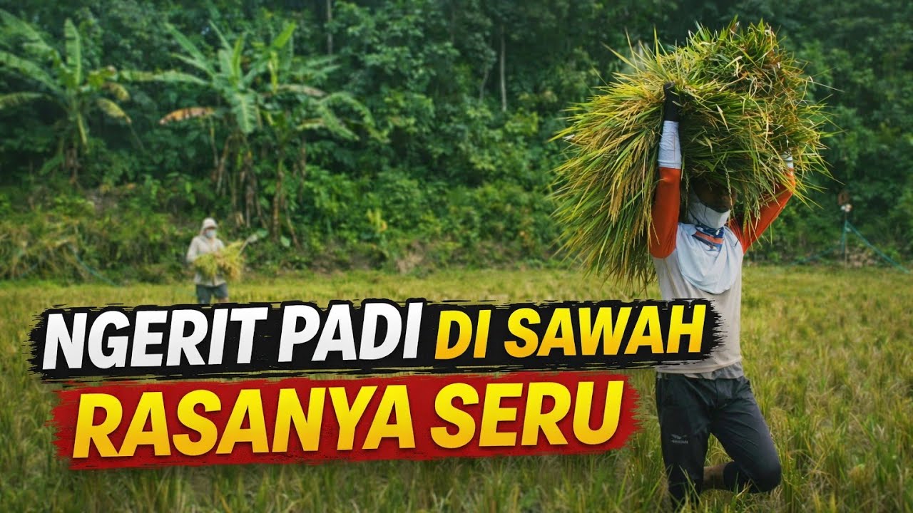Serunya ngarit ... 😄😄