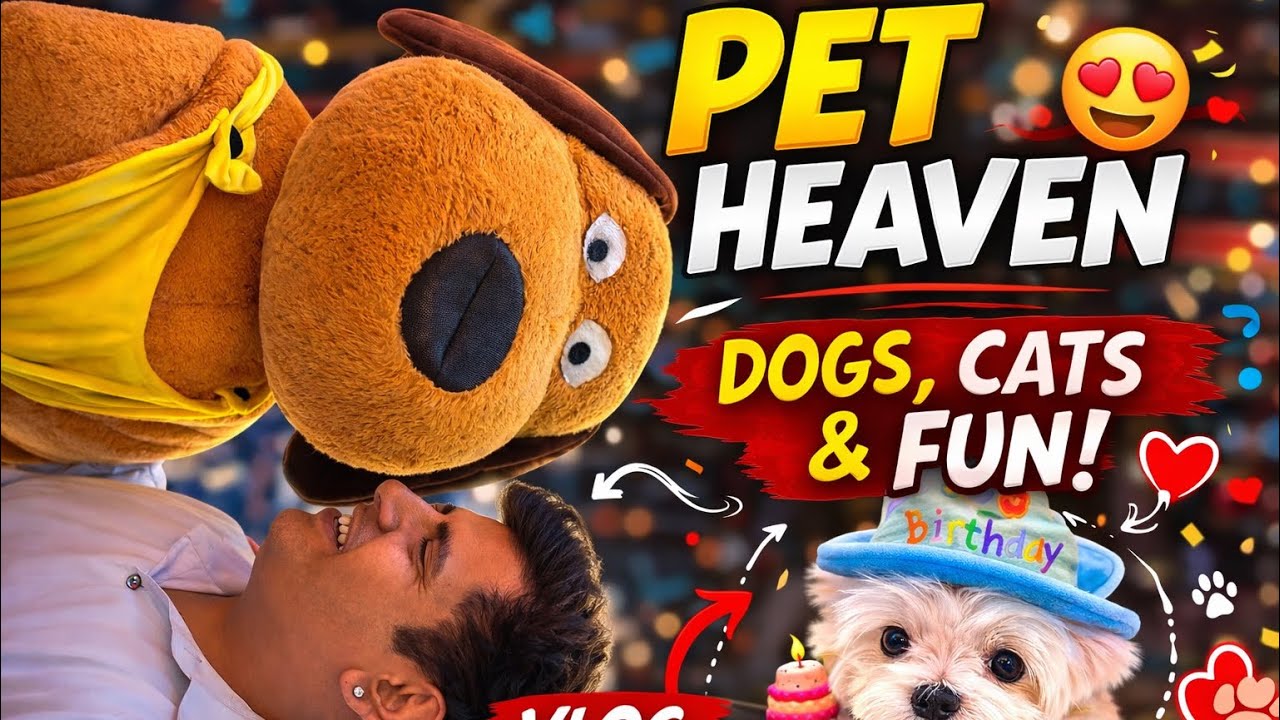 Pet Heaven 😍 | Dogs, Cats & Birthday Fun! 🐶🎉| Dog Birthday Surprise 🎉 | Pet Party Vlog 🐶🔥 #pets 