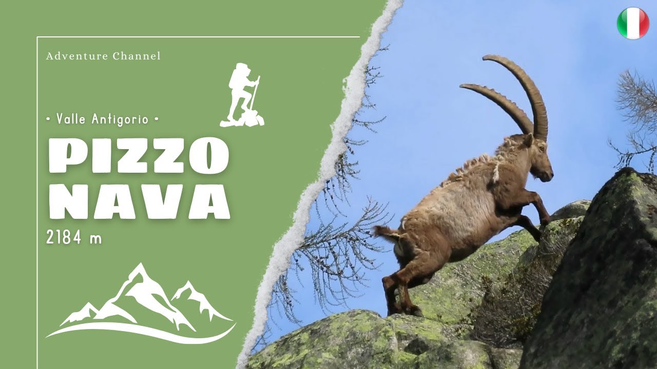 Pizzo Nava (2184 m) ► un monolito sorprendente • Valle Antigorio •