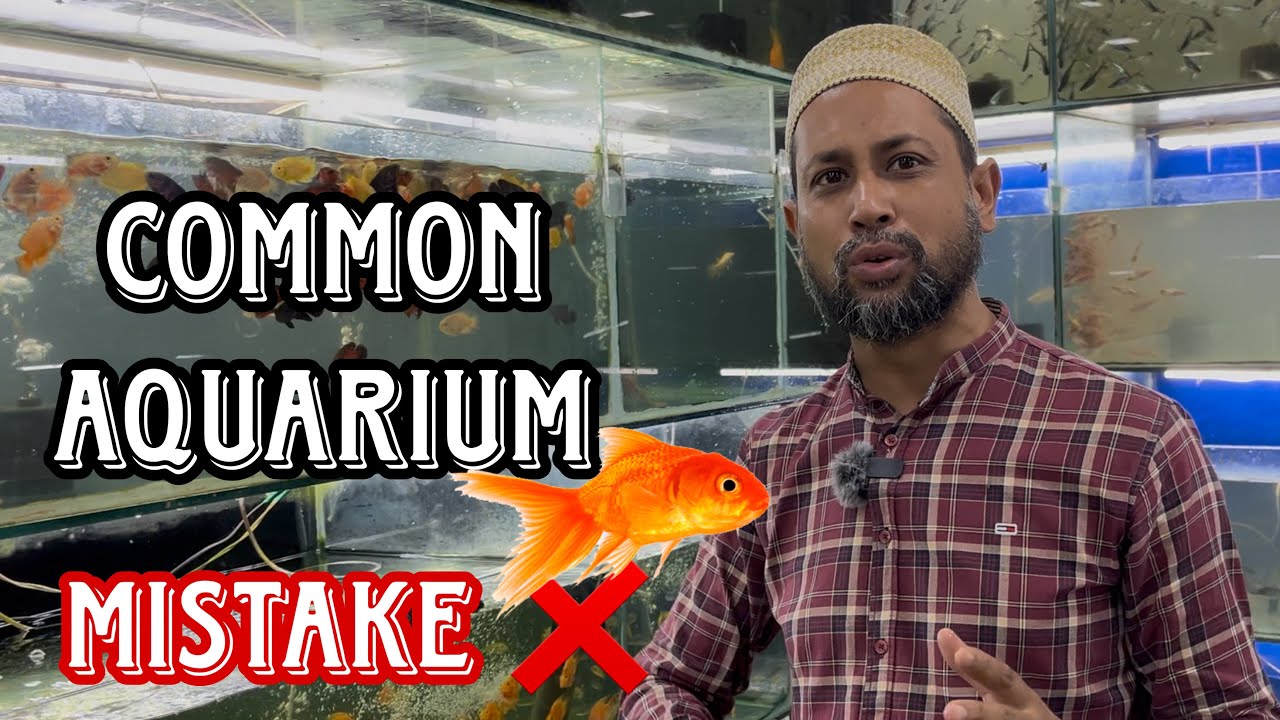 Don't Make This Mistake's 10 Most Common Fish Keeping Mistake Aquarium Mistakes! 