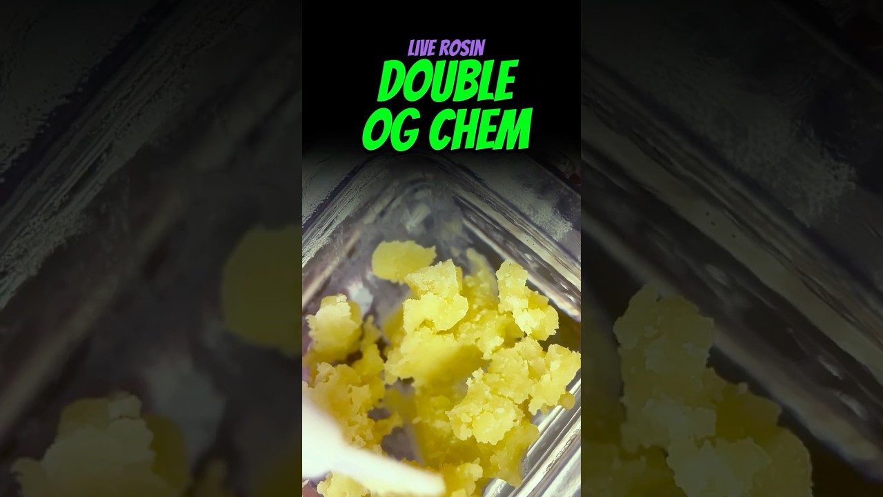 Double OG Chem Review | Blue River Live Rosin 🔬 Strongest Strain from Trulieve?