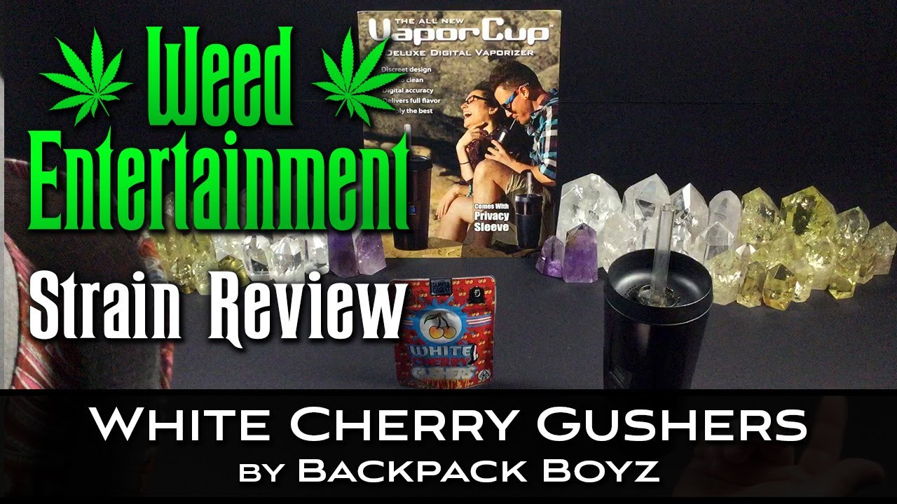 White Cherry Gushers - by Backpack Boyz - Strain Review - March 2022